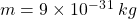 m = 9 \times 10^‐^3^1 \:kg