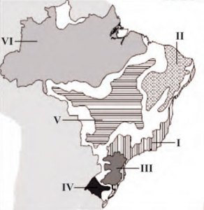 domínios morfoclimáticos brasileiros