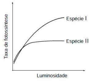 gráfico de taxa de fotossíntese