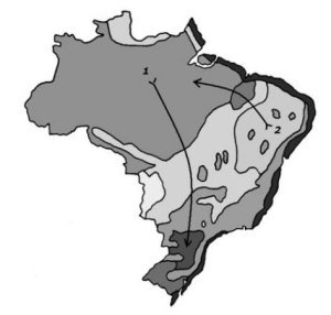 ecossistemas do brasil