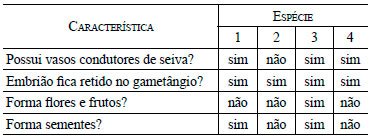 evolução dos grupos vegetais