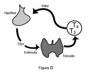 tireóide e hormônios tireoidianos