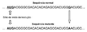 mutação - alteração na sequencia de nucleotídeos