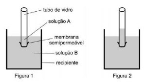 osmose / membrana semipermeável