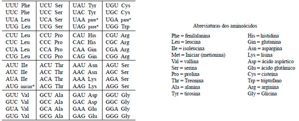 tabela com os códons representativos do código genético universal