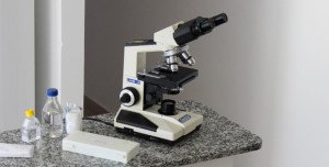 microscópio óptico