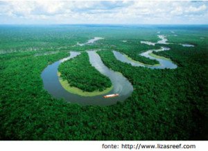 Florestas Pluviais Tropicais