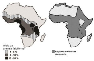 Anemia falciforme na África