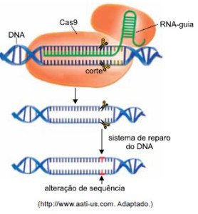 Sistema CRISPR-Cas9