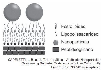 nanopartículas de sílica recobertas com antibióticos